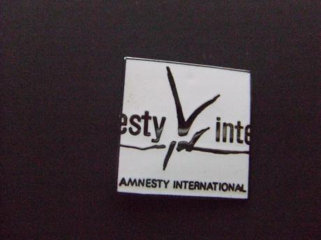Amnesty international naleving mensenrechten